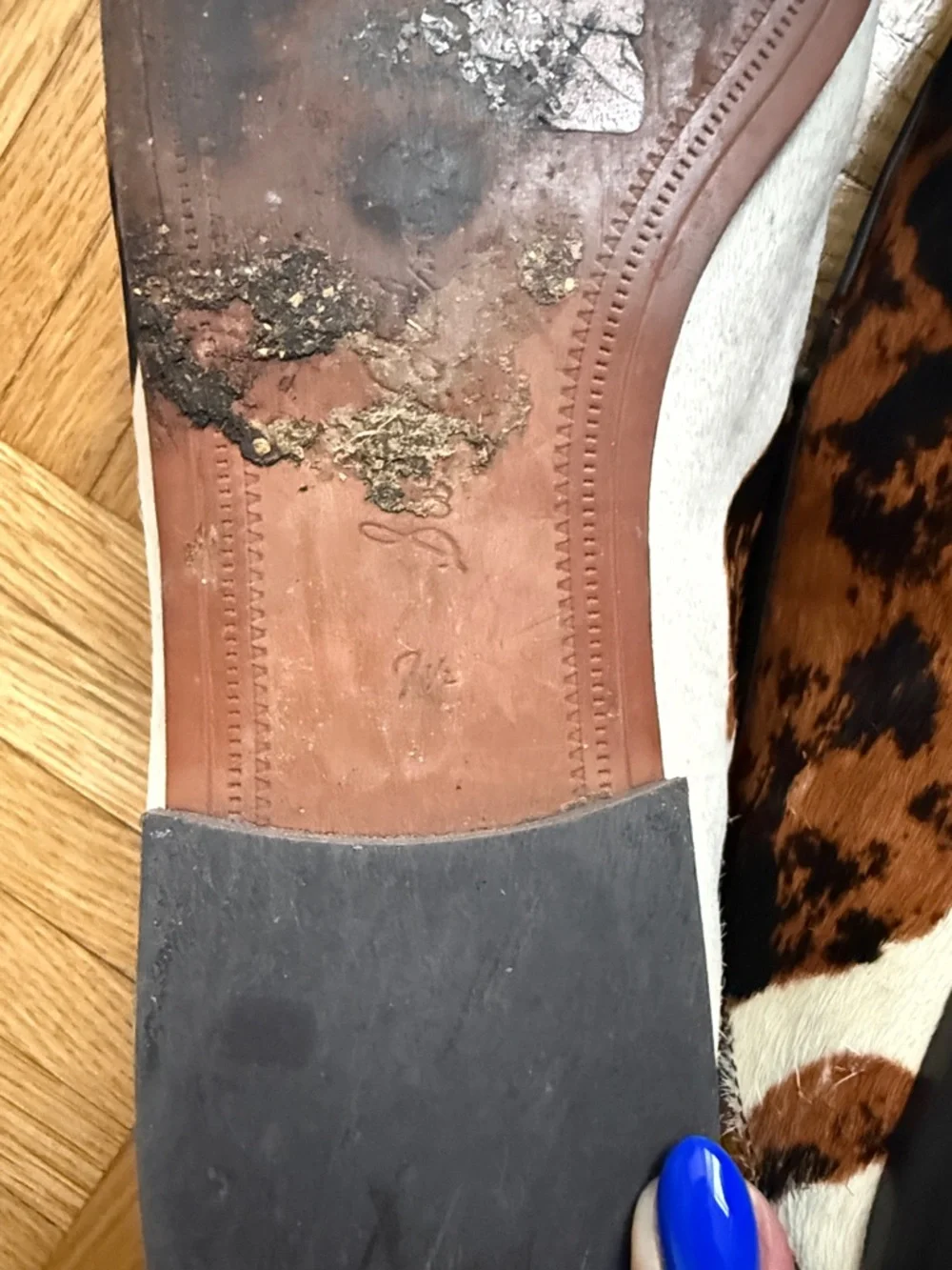 Sam Edelman Leather Calf Hair Cow Print Loraine Loafers